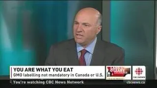 Kevin O'Leary vs Rachel Parent  "We ARE the lab rats"