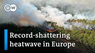 Deaths, drought and wildfires: Europe struggles to cope with its severe heatwave | DW News