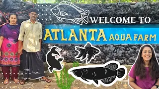 Welcome to Atlanta Aqua Farm | Manoj & Deepa | Fish Farm | Aquarium | Keezhillam | Kerala | WOLO