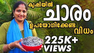 കൃഷിയിൽ ചാരം ഉപയോഗിക്കേണ്ട വിധം | How to use Wood Ash fertilizer for plants