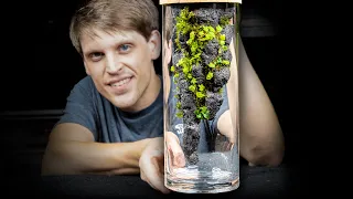 Upside Down Stalactite Terrarium