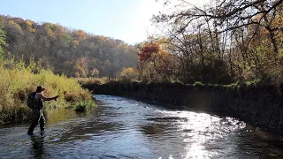FLY FISHING THE DRIFTLESS REGION: Early Fall Trout! A perfect day! (South Bear Creek, Decorah, Iowa)