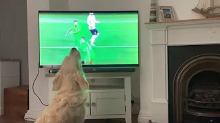 Opera Dog Singing Nessun Dorma - Football’s Coming Home