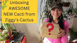 Unboxing AWESOME NEW Cacti from 'Ziggy's Cactus' #cactus #cacti