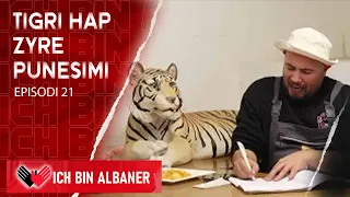 Ich bin Albaner- Tigri hap Zyre Punesimi (Episodi 21)