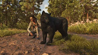 Far Cry 6 : Сокровище  Реликвии Триады найти все. Амиго - пантера Олусо.