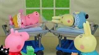 🍼 MAMA PIG TIENE UN NUEVO BEBÉ - VIDEOS DE PEPPA PIG CAT JUGUETES