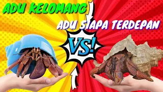 ADU KELOMANG SIAPA TERDEPAN, LOMBA UMANG UMANG, BALAP KEONG.