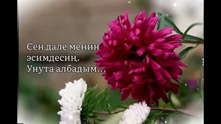 Бул Күз айы сага арналды. Анткени сен аябай жагымдуусуң. 💐