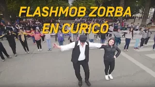 Flashmob "Zorba" Sorprende en Curicó | Fundación Mustakis