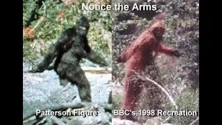 BBC's Bigfoot Patterson film recreation