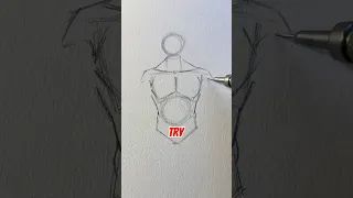 How to draw male torso || Jmarron