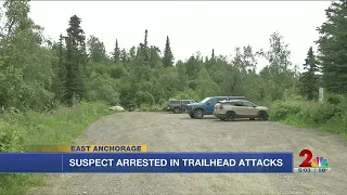 Suspect in at least 8 Anchorage trailside assaults detained, could face more charges