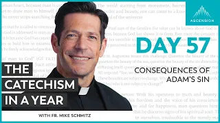 Day 57: Consequences of Adam’s Sin — The Catechism in a Year (with Fr. Mike Schmitz)