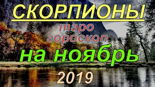 ГОРОСКОП СКОРПИОНЫ НА НОЯБРЬ.2019