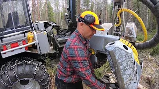 VIMEK THINNING WITH A 404 SE AND 610 SE OUTSIDE UMEÅ, APRIL 2020 [English Subtitles]