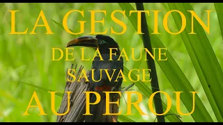 La Gestion de la Faune Sauvage au Pérou