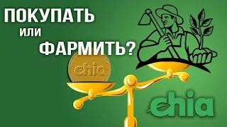 Чиа: покупать или фармить?