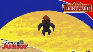 Η Φρουρά των Λιονταριών | Το Φάντασμα του Βουνού 👻🎼 | Disney Junior Ελλάδα