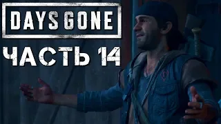 Прохождение DAYS GONE (Жизнь После) #14 ➤ Обычный день Дикона: Неро, Мародеры, Фрики!