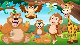 Funny Animal Sounds in 30 Minutes: Giraffe, Bear, Beaver, Monkey, Owl - ANIMAL (BGM)