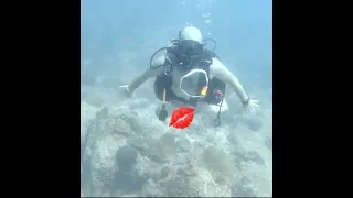 Naked Dive - the 100th Dive Tradition with a Bubble Ring finale