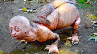 20 Animals That Are Born Once In A Thousand Years