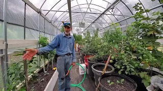 THIS Will Blow Your MIND!  IS a GREENHOUSE Worth It?