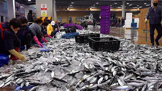 Vivid site! Pickled mackerel (simesaba) mass production process. Korea Seafood Factory