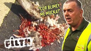 Litter Picker Lew Cleans Up Roadkill | FULL EPISODE | Grimefighters | Episode 30