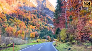 🍂🎃 Colorful Autumn in Switzerland 🇨🇭 🍁 Autumn Vibes in Lauterbrunnen | #swiss #swissview