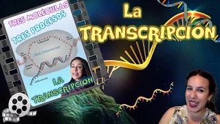 Transcripción del ADN - Bio[ESO]sfera - Biología