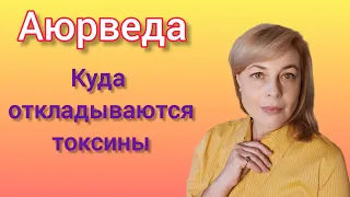 Аюрведа. Взаимосвязь пищеварения и мышления. Токсины, связанные с Вата, Питта и Капха доша #аюрведа