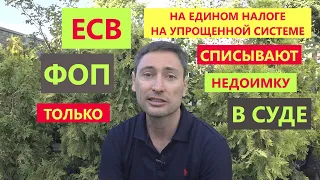 ЕСВ для упрощенцев (на Едином налоге) "списывается" в суде!