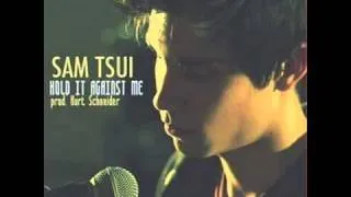 Sam Tsui - Hold It Against Me cover [HQ audio]