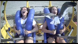 Seagull hits teen in face while on SpringShot ride in New Jersey | ABC7