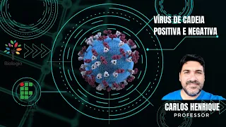 Vírus de cadeia positiva e negativa