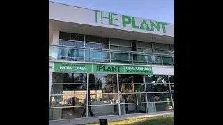 Drive-Thru Cannabis Dispensary In California - The Plant In Woodland Hills