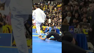 What a knee bar finish from Tye Ruotolo! #bjj #cbjj #ibjjf #jiujitsu