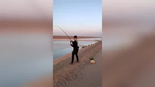 California Aqueducts Fishing