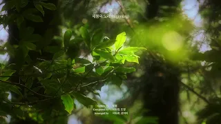 DOYOUNG 도영 '새봄의 노래 (Beginning)' | 청춘의 포말 (YOUTH) Playlist