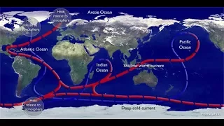 Течение Гольфстрим может исчезнуть.  Климатические изменения.Дезинформация о потеплении!