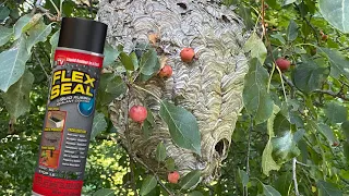 Flex seal vs Hornet nest can it stop a wasp swarm