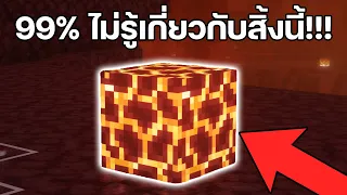 25 สิ่งที่(ความลับสุดยอด!!!)แทบจะไม่มีใครรู้ใน Minecraft