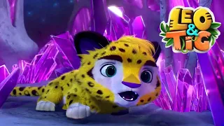 Leo y Tig 🐯 La Cueva Misteriosa - Episodio 2 🦁 Super Toons TV Dibujos Animados en Español