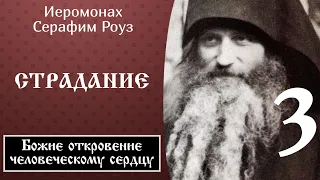 3/6 Страдание ☦️ Иеромонах Серафим Роуз @SpasenieVoHriste