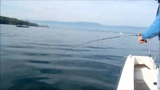 Ludovic Briet - Guide de pêche Haute-Savoie rivières et lac Léman