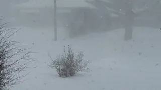 Snowstorm in Toronto Ontario Canada