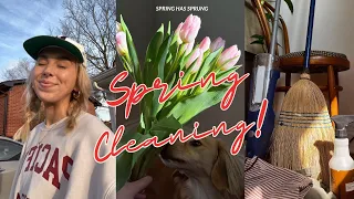 SPRING CLEANING 🧼 🌷🫧🧺 Spring clean my house with me!