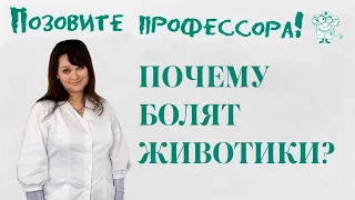 Язвенная болезнь у детей. Почему болят животики?